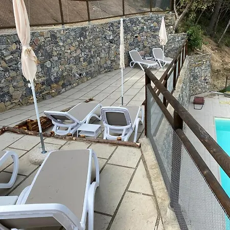 Luxury Blue Paradise